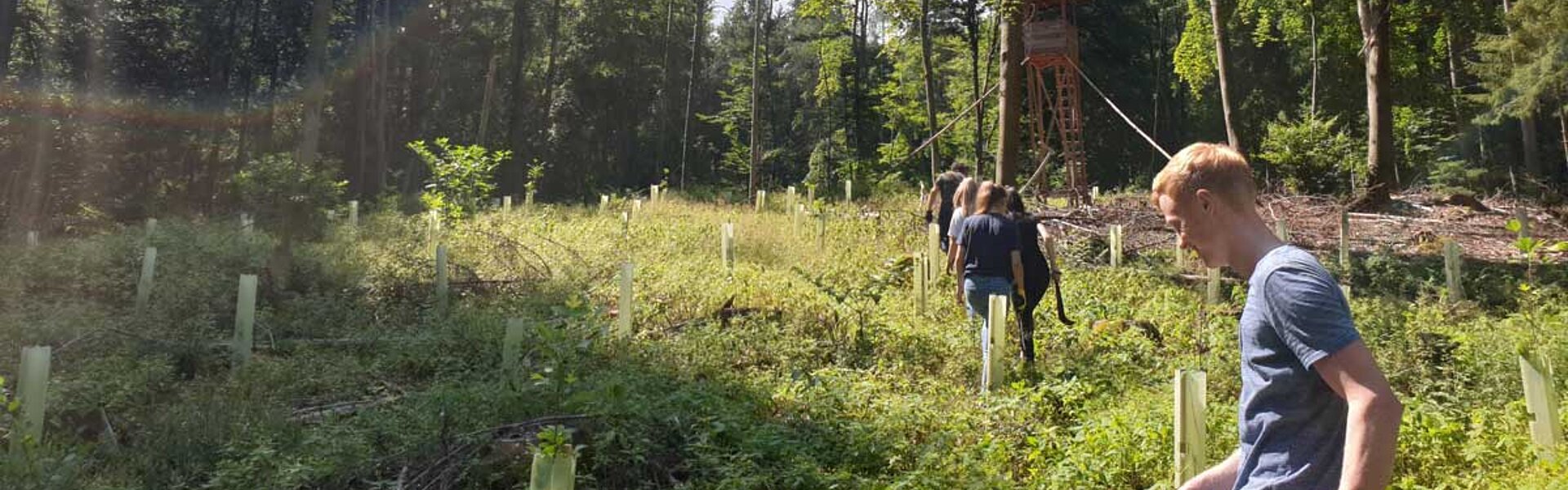 Grünes Klassenzimmer 2 - Das Forstprojekt der RTS Azubis geht in die nächste Runde Grünes-Klassenzimmer-2-Forstprojekt-August-2020-RTS-Ausbildung