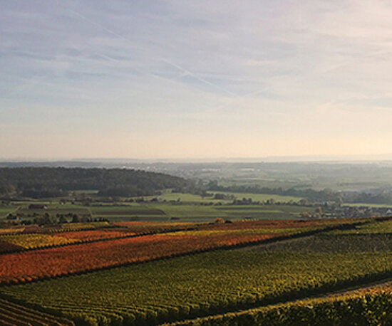 Eine malerische Aussicht auf ein weites Tal mit Weinbergen, die in herbstlichen Farben leuchten, unter einem bewölkten Himmel mit sanftem Licht.