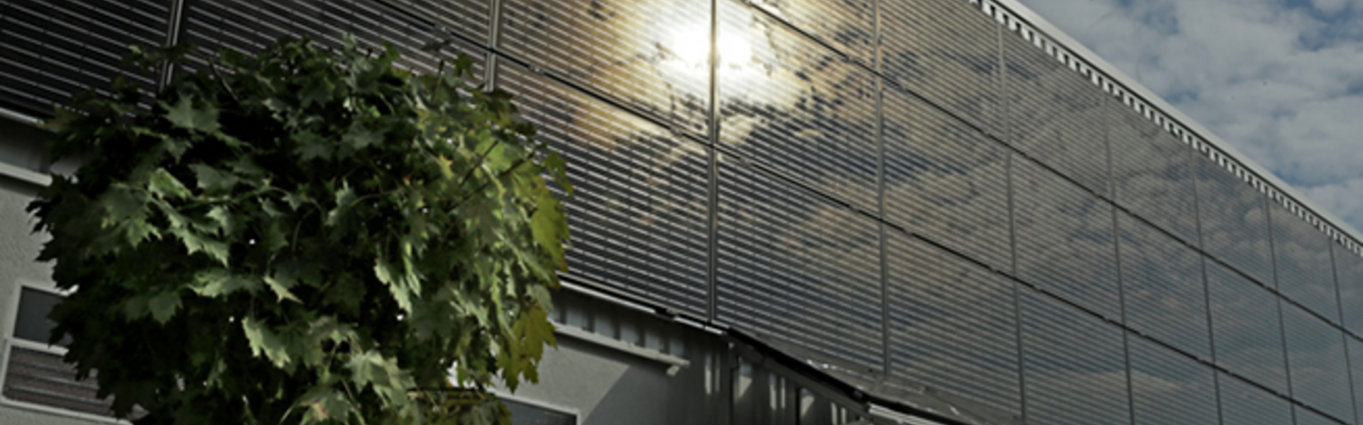 Photovoltaikanlagen: Bestandsanlagen und privater Stromverbrauch - Was tun? Eine Reihe von Solarpaneelen an der Fassade eines Gebäudes, die das Sonnenlicht reflektieren, mit einem Baum links im Bild.