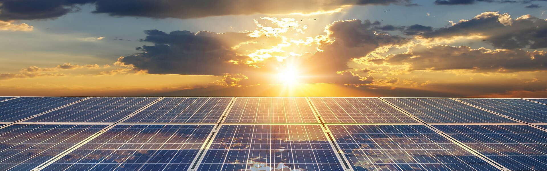 Laufende Einnahmen und Ausgaben einer Bestandsphotovoltaikanlage mit Anschaffung vor dem 01.01.2022 Solarpanele auf einer grünen Wiese und Sonnenschein im Hintergrund