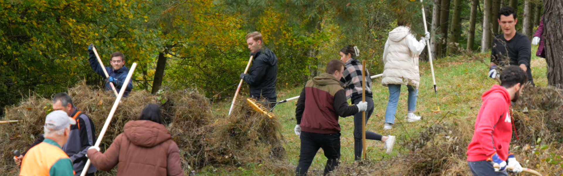 Heideprojekt in Sulz am Neckar Heideprojekt Sulz am Neckar Helferinnen und Helfer Heide