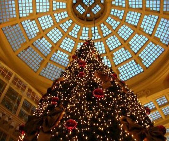 Betriebsveranstaltung, Weihnachtsfeier, Weihnachtsbaum