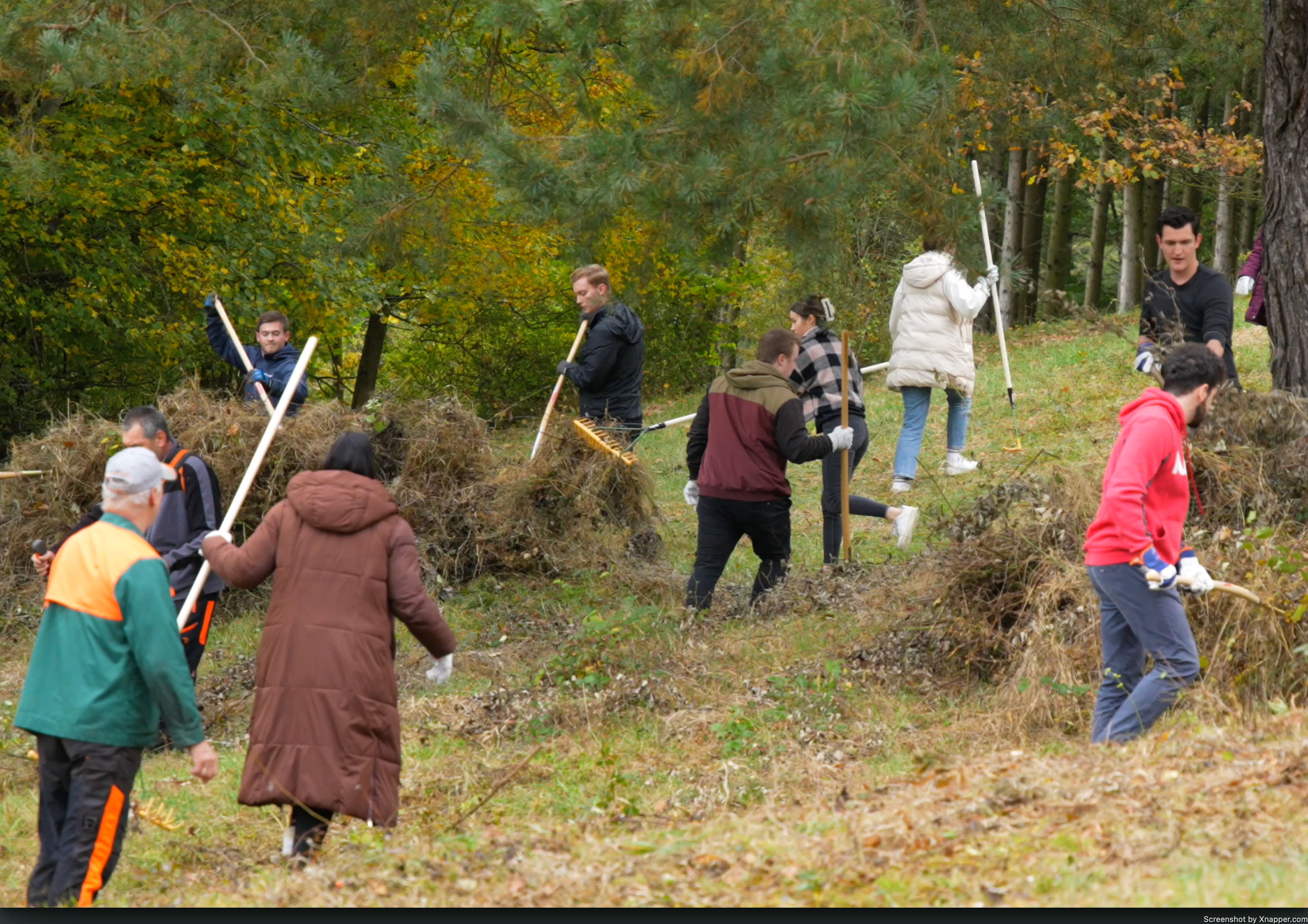 Heideprojekt Sulz am Neckar Helferinnen und Helfer Heide